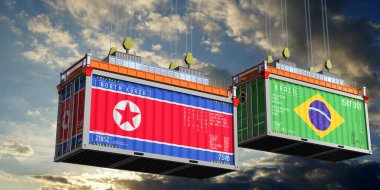 Kuzey Kore ve Brezilya bayraklı konteynırlar - 3D illüstrasyon