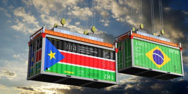 Güney Sudan ve Brezilya bayraklı konteynırlar - 3D illüstrasyon