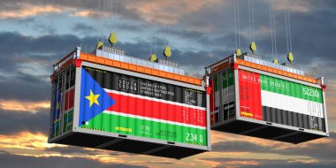 Güney Sudan ve Birleşik Arap Emirlikleri bayraklı konteynırlar - 3 boyutlu illüstrasyon