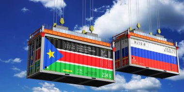 Güney Sudan ve Rusya bayraklı konteynırlar - 3D illüstrasyon