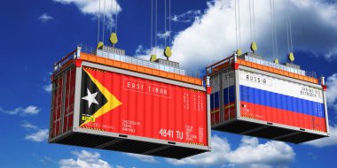 Doğu Timor ve Rusya 'nın bayraklı konteynırları - 3D illüstrasyon