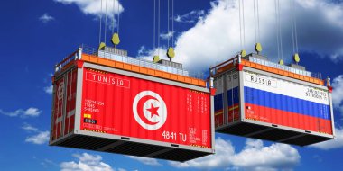 Tunus ve Rusya bayraklı nakliye konteynerleri - 3D illüstrasyon