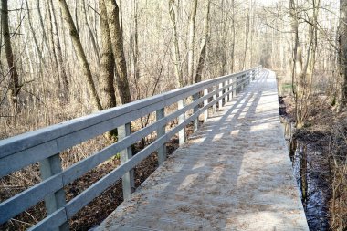 Footpath over swamp in Kampinos Forest, Poland