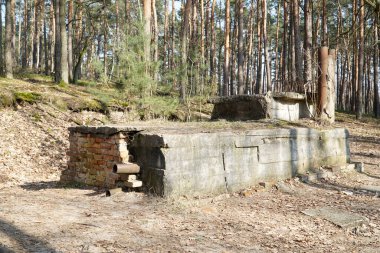 Truskaw, Polonya - 3 Mart 2024 - 2. Dünya Savaşı 'ndan kalma sığınak Kampinos Milli Parkı