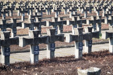 Palmiry, Polonya - 3 Mart 2024 Kampinos Ulusal Parkı 'nın ortasındaki Mezarlıkta çapraz mezar taşları