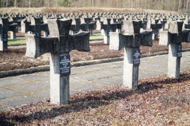 Palmiry, Polonya - 3 Mart 2024 Kampinos Ulusal Parkı 'nın ortasındaki Mezarlıkta çapraz mezar taşları