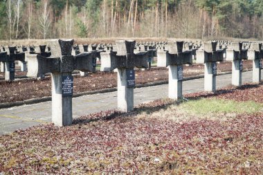 Palmiry, Polonya - 3 Mart 2024 Kampinos Ulusal Parkı 'nın ortasındaki Mezarlıkta çapraz mezar taşları