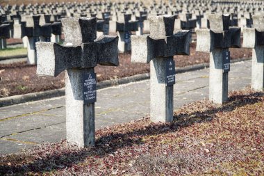 Palmiry, Polonya - 3 Mart 2024 Kampinos Ulusal Parkı 'nın ortasındaki Mezarlıkta çapraz mezar taşları