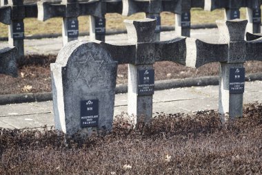 Palmiry, Polonya - 3 Mart 2024 Kampinos Ulusal Parkı 'nın ortasındaki mezarlık