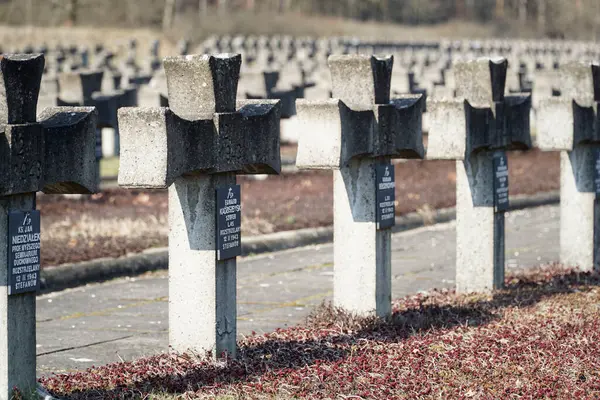 Palmiry, Polonya - 3 Mart 2024 Kampinos Ulusal Parkı 'nın ortasındaki Mezarlıkta çapraz mezar taşları