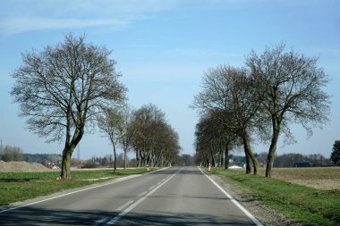 Kırsal kesimde asfalt yol - sürücü perspektifi