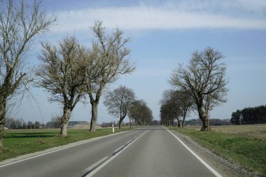 Kırsal kesimde asfalt yol - sürücü perspektifi
