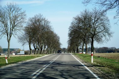Kırsal kesimde asfalt yol - sürücü perspektifi