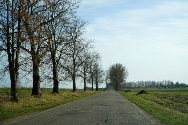 Asphalt road in countryside - driver's perspective clipart