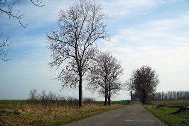 Kırsal kesimde asfalt yol - sürücü perspektifi