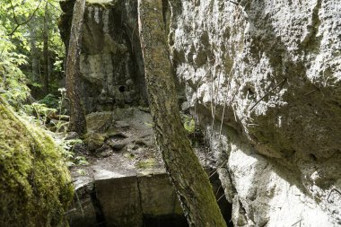 Ketrzyn, Gierloz, Poland - May 11th 2024 - Ruins of a bunker in Wolf's Liar