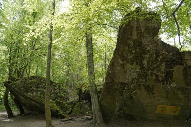 Ketrzyn, Gierloz, Poland - May 11th 2024 - Ruins of a bunker in Wolf's Liar