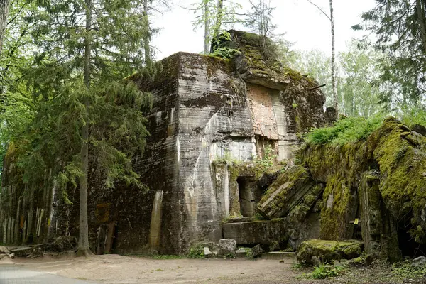 stock image Ketrzyn, Gierloz, Poland - May 11th 2024 - Adolf Hitler's bunker at Wolf's Lair