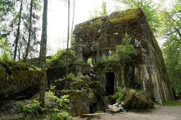 stock image Ketrzyn, Gierloz, Poland - May 11th 2024 - Ruins of a bunker in Wolf's Liar