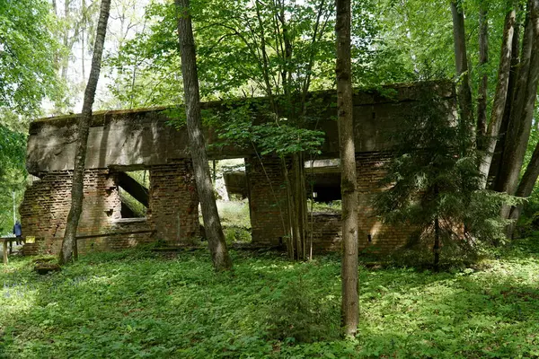 stock image Ketrzyn, Gierloz, Poland - May 11th 2024 - Remains of stenographers barrack at Wolf's Liar