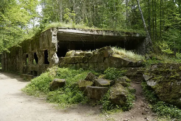 stock image Ketrzyn, Gierloz, Poland - May 11th 2024 - Remains of stenographers barrack at Wolf's Liar