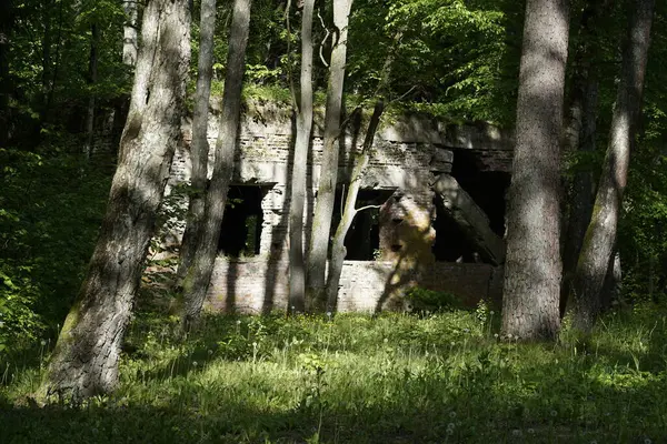 stock image Ketrzyn, Gierloz, Poland - May 11th 2024 - Ruins of a building at Wolf's Liar