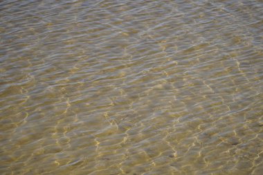 Kıyıda berrak ve sakin su yüzeyi