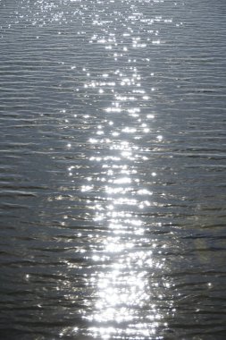 Güneş suya yansıyor - dikey fotoğraf