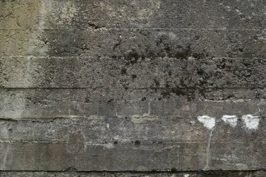 Eski sert beton duvar dokusu