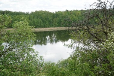 Ormandaki Göl - Masuria, Polonya