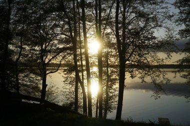Gölün üzerinde gün batımı ve kıyıda ağaçlar