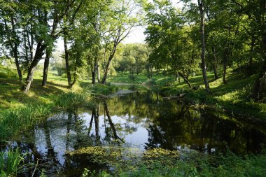 Galve Gölü Körfezi - Trakai, Litvanya