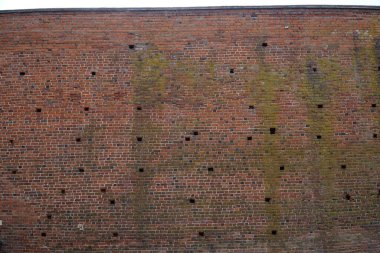 Ciechanow, Polonya - 8 Haziran 2024 Masovia Düklerinin Kalesi 'ndeki tuğla duvar