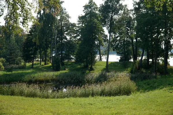 stock image Trakai, Lithuania - September 13th 2023 - Pond in park - Uzutrakis Manor, Tyszkiewicz family residence