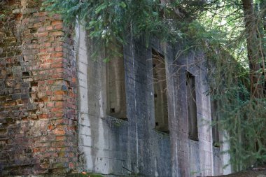 Osowka, Gluszyca, Poland - August 06th, 2024 - Remains of casino building - III Reich nazi military base - Projekt Riese clipart