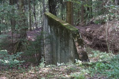 Osowka, Gluszyca, Polonya - 6 Ağustos 2024 - 3. Reich Nazi askeri üssü - Projekt Riese