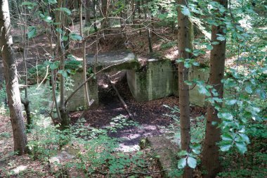 Osowka, Gluszyca, Polonya - 6 Ağustos 2024 - Nazi Nazi gizli üssü Projekt Riese 'nin kalıntıları