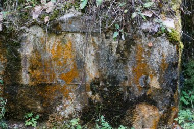 Osowka, Gluszyca, Polonya - 26 Ağustos 2024 - Enerji santralinin kalıntıları - III. Reich Nazi gizli askeri üssü - Projekt Riese