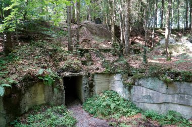 Osowka, Gluszyca, Polonya - 6 Ağustos 2024 - Nazi Nazi askeri üssü Projekt Riese 'deki tren istasyonunun kalıntıları