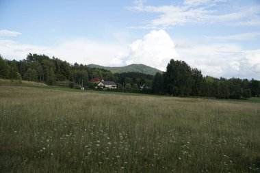 Yazın dağlarda tarla