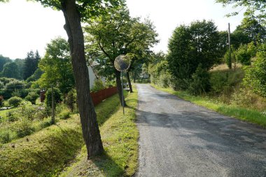 Yazın ağaçlı kırsal yol