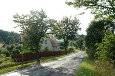 Yazın ağaçlı kırsal yol