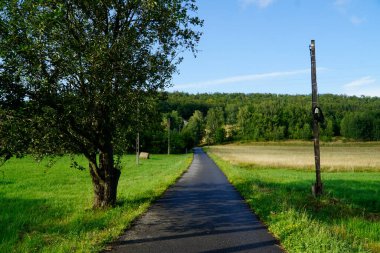 Kırsal yol ve çimenli çayır