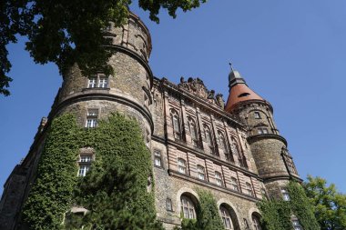 Walbrzych, Polonya - 12 Ağustos 2024 - Dış duvarlarında sarmaşık olan Ksiaz Şatosu - bahçeli tarrace manzaralı