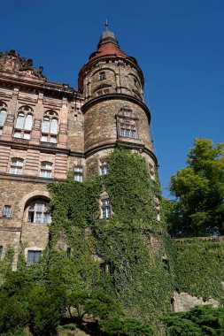 Walbrzych, Polonya - 12 Ağustos 2024 - Dış duvarlarında sarmaşık olan Ksiaz Şatosu - bahçeli tarrace manzaralı