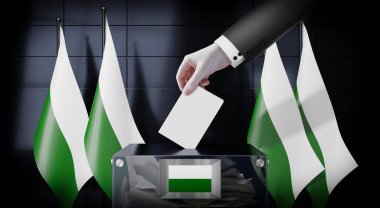 Saksonya - bayraklar ve oy sandığı - oy kullanma, seçim konsepti - 3 boyutlu illüstrasyon