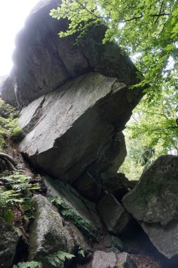 Polonya 'nın Kalenica Dağı' ndaki kayalar