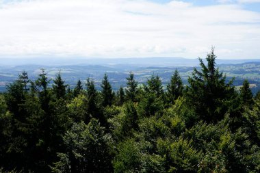 Kalenica Dağı 'ndan manzara - Baykuş Dağları, Polonya