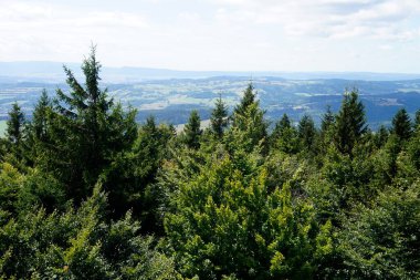 Kalenica Dağı 'ndan manzara - Baykuş Dağları, Polonya