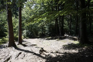 Baykuş Dağları 'ndaki patika, Polonya